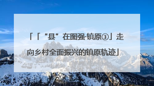 「“县”在图强·镇原③」走向乡村全面振兴的镇原轨迹