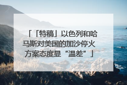 「特稿」以色列和哈马斯对美国的加沙停火方案态度显“温差”
