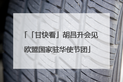 「甘快看」胡昌升会见欧盟国家驻华使节团