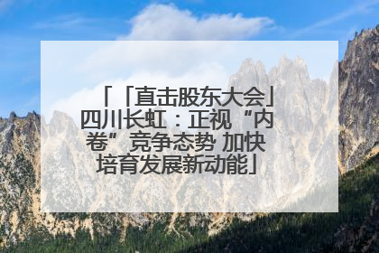 「直击股东大会」四川长虹：正视“内卷”竞争态势 加快培育发展新动能