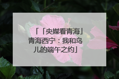 「央媒看青海」青海西宁：我和鸟儿的端午之约