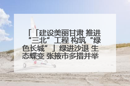 「建设美丽甘肃 推进“三北”工程 构筑“绿色长城”」绿进沙退 生态蝶变 张掖市多措并举加大防沙治沙力度