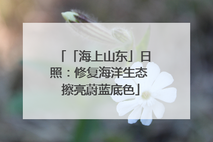 「海上山东」日照：修复海洋生态 擦亮蔚蓝底色