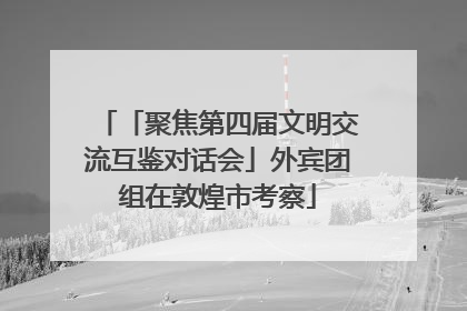「聚焦第四届文明交流互鉴对话会」外宾团组在敦煌市考察