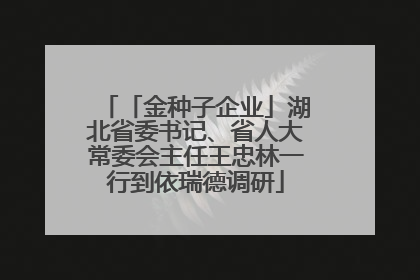「金种子企业」湖北省委书记、省人大常委会主任王忠林一行到依瑞德调研