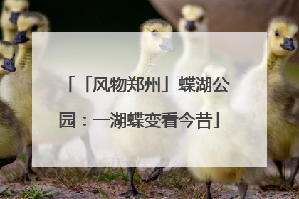 「风物郑州」蝶湖公园：一湖蝶变看今昔