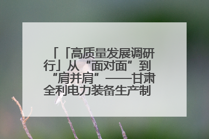 「高质量发展调研行」从“面对面”到“肩并肩”——甘肃全利电力装备生产制造项目一线见闻