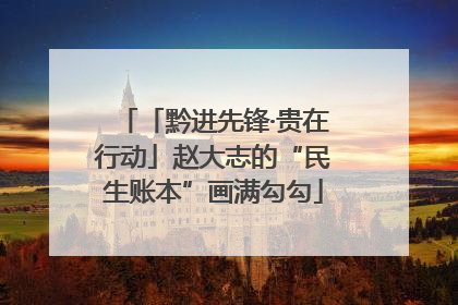 「黔进先锋·贵在行动」赵大志的“民生账本”画满勾勾