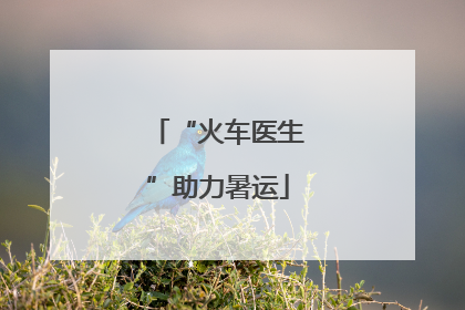 “火车医生”助力暑运