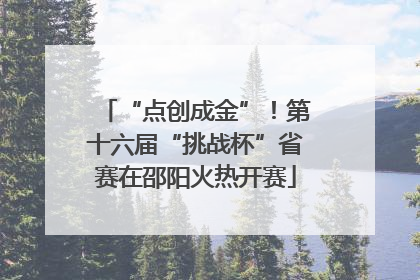 “点创成金”！第十六届“挑战杯”省赛在邵阳火热开赛