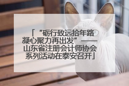 “砺行致远拾年路 凝心聚力再出发”——山东省注册会计师协会系列活动在泰安召开