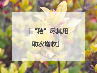 “秸”尽其用 助农增收