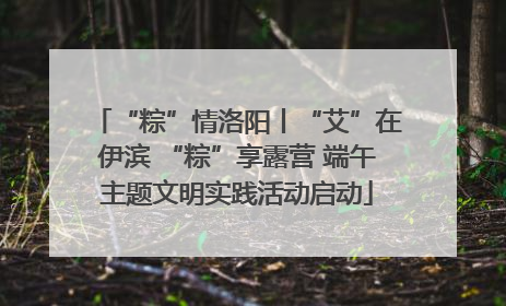 “粽”情洛阳丨“艾”在伊滨 “粽”享露营 端午主题文明实践活动启动
