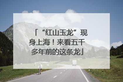 “红山玉龙”现身上海！来看五千多年前的这条龙