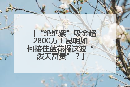 “绝绝紫”吸金超2800万！昆明如何接住蓝花楹这波“泼天富贵”？