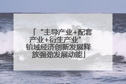 “主导产业+配套产业+衍生产业” 镇域经济创新发展释放强劲发展动能