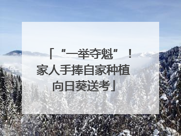 “一举夺魁”！家人手捧自家种植向日葵送考
