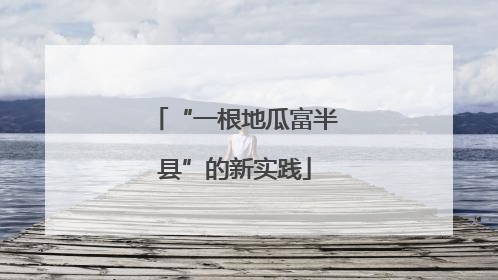 “一根地瓜富半县”的新实践