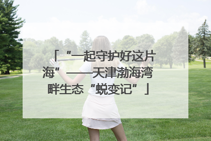 “一起守护好这片海”——天津渤海湾畔生态“蜕变记”