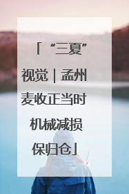 “三夏”视觉｜孟州麦收正当时 机械减损保归仓