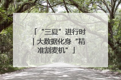 “三夏”进行时｜大数据化身“精准割麦机”