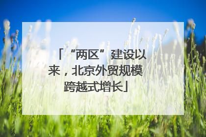 “两区”建设以来，北京外贸规模跨越式增长