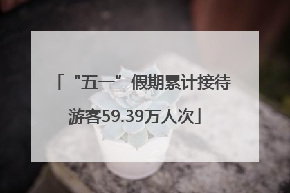 “五一”假期累计接待游客59.39万人次