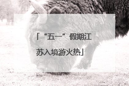“五一”假期江苏入境游火热