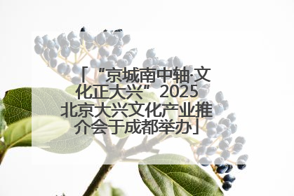 “京城南中轴·文化正大兴”2025北京大兴文化产业推介会于成都举办