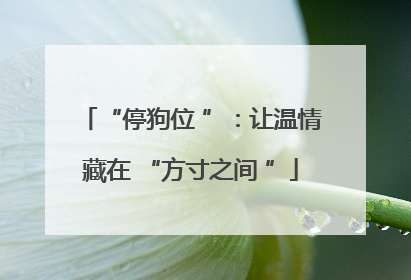 “停狗位 ”：让温情藏在 “方寸之间 ”