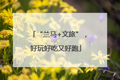 “兰马+文旅”，好玩好吃又好跑