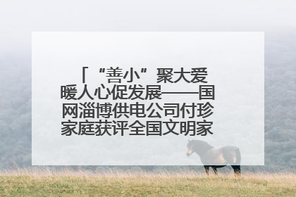 “善小”聚大爱 暖人心促发展——国网淄博供电公司付珍家庭获评全国文明家庭背后的文明密码