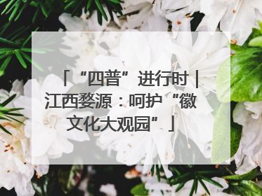 “四普”进行时｜江西婺源：呵护“徽文化大观园”