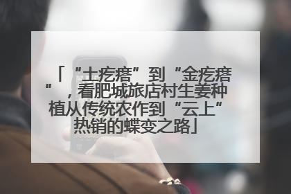 “土疙瘩”到“金疙瘩”，看肥城旅店村生姜种植从传统农作到“云上”热销的蝶变之路