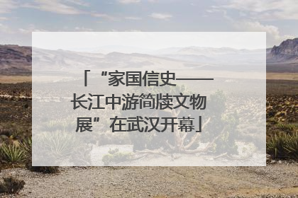 “家国信史——长江中游简牍文物展”在武汉开幕