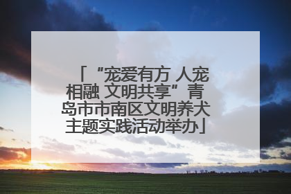 “宠爱有方 人宠相融 文明共享”青岛市市南区文明养犬主题实践活动举办