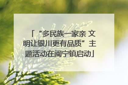 “多民族一家亲 文明让银川更有品质”主题活动在闽宁镇启动