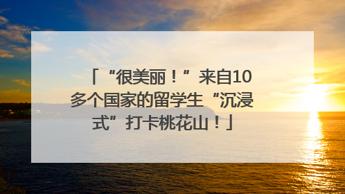 “很美丽！”来自10多个国家的留学生“沉浸式”打卡桃花山！