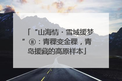 “山海情・雪域援梦”⑧：青稞变金稞，青岛援藏的高原样本