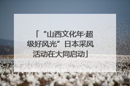 “山西文化年·超级好风光”日本采风活动在大同启动