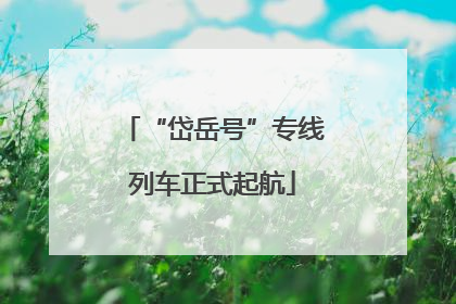 “岱岳号”专线列车正式起航