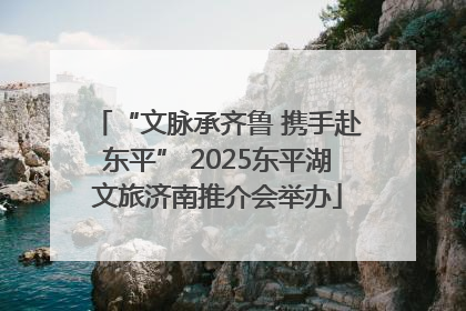 “文脉承齐鲁 携手赴东平” 2025东平湖文旅济南推介会举办