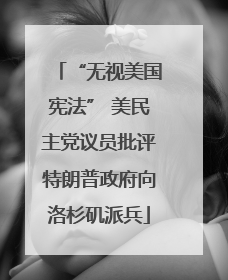 “无视美国宪法” 美民主党议员批评特朗普政府向洛杉矶派兵