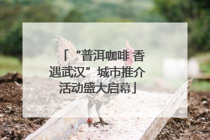 “普洱咖啡 香遇武汉”城市推介活动盛大启幕