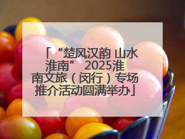 “楚风汉韵 山水淮南” 2025淮南文旅（闵行）专场推介活动圆满举办