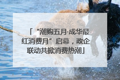 “潮购五月·成华最红消费月”启幕，政企联动共掀消费热潮