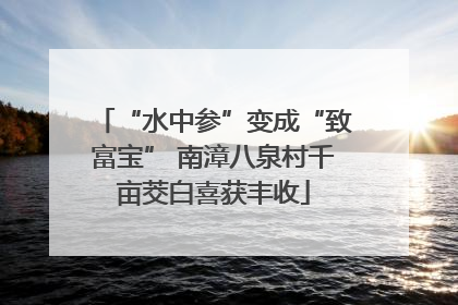 “水中参”变成“致富宝” 南漳八泉村千亩茭白喜获丰收