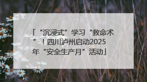 “沉浸式”学习“救命术”！四川泸州启动2025年“安全生产月”活动