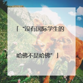 “没有国际学生的哈佛不是哈佛”