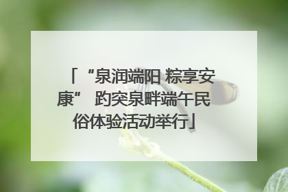 “泉润端阳 粽享安康” 趵突泉畔端午民俗体验活动举行